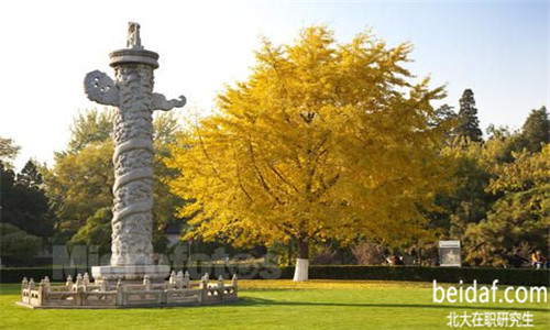 北京大學企業CEO高級研修班